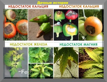 ��������� �������: ������� ��������� ����� �� ������ ������ �����