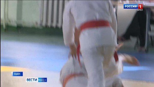 Орел впервые принял окружной турнир по айкидо