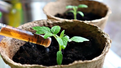 ��� �������� ������� �������: 5 �������� ����������� ���������