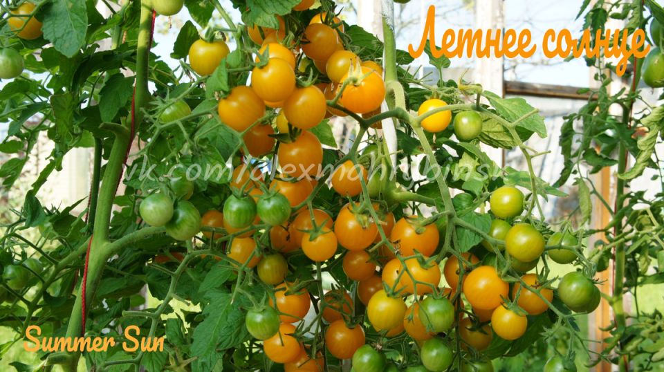 ������ �����, ������� �������� ��� ���������: 10 ����� ������� ������