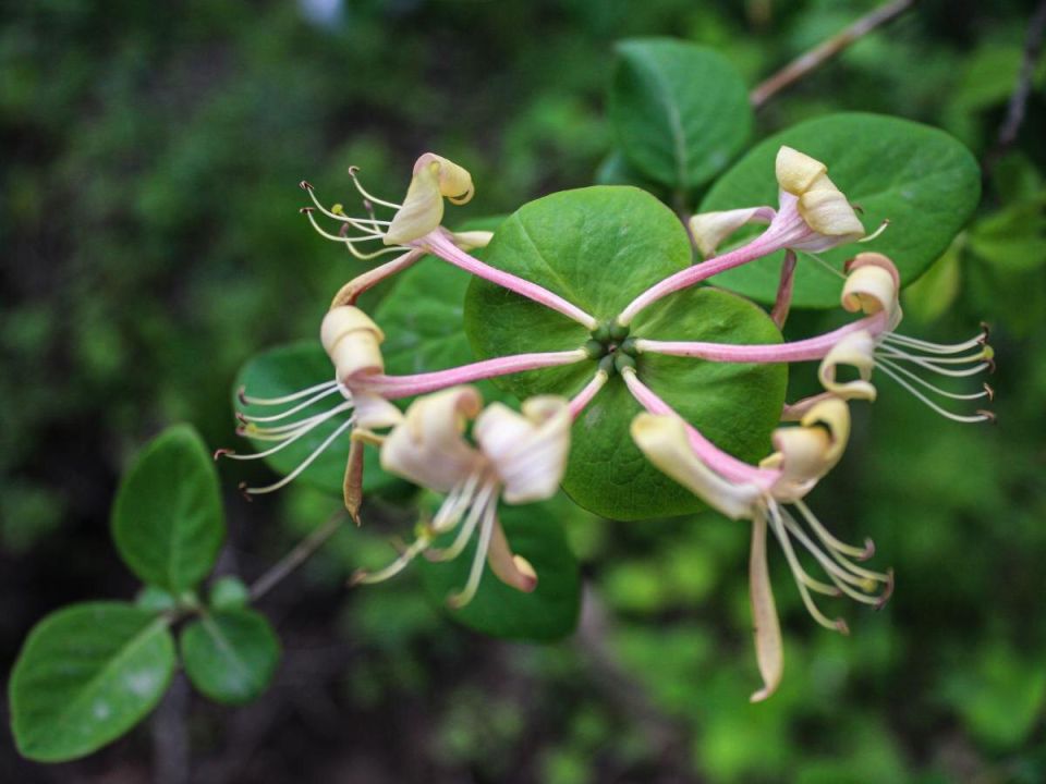 ��� ���������� ��������� � ��������� �������� ������ ����