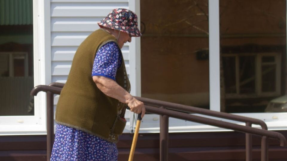 ���������� �����������: ��� � ��� ������ ����� �� ������ � 2026 ����