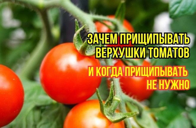 ������ �� ����� ���������� ����������� �������� �������: ������� ������� ������