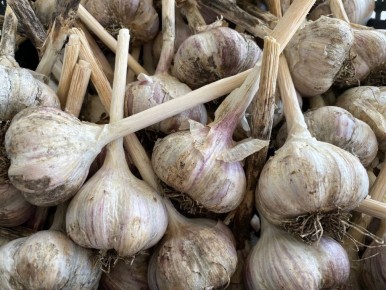 ��� ��������� �������� ������ ������: ������ ��� ������� ������