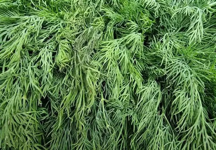 ���, ����� ��� ���������: ��� ������� ��� �������� ����������