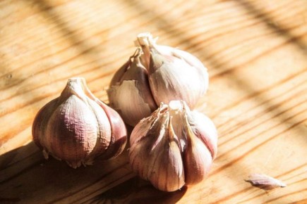 ������: �������, � ������� �� �� �����