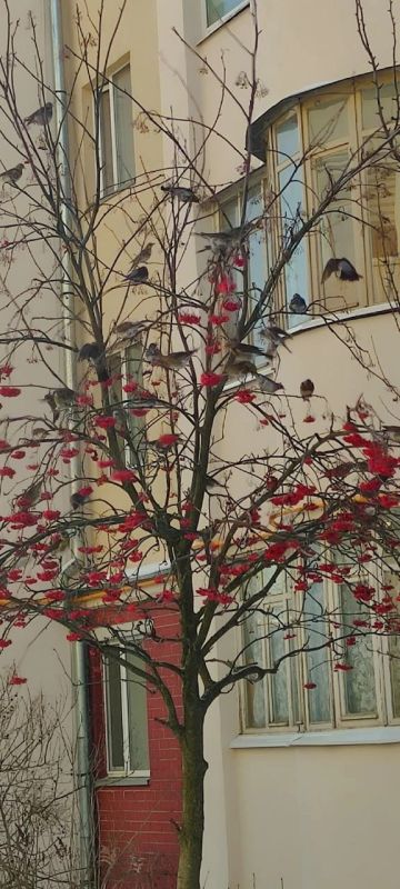 ������ ���� �� ����� ��������� ������ ������