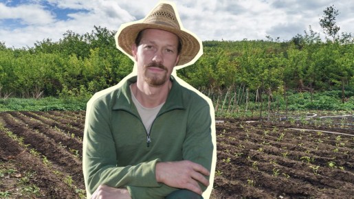 �������� ���� �� ����� ��� ��������: ��������� ������� ���� ��� ������ � ������