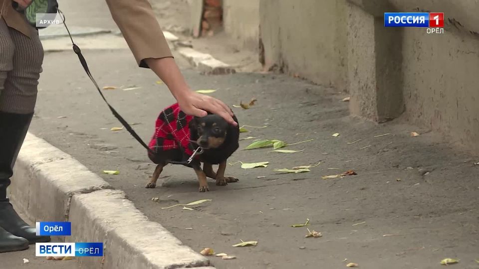 ��������� ������� �� ���������� ���������� �� ��������� �������� �����