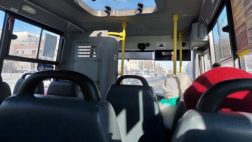 � ���� ������� ��������� �� ���������������� ���������