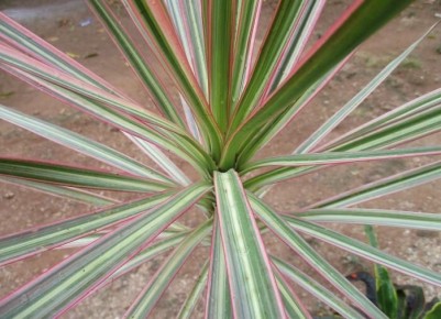 ������� ����� �� ��������: ��� ��������� � ������ � ��������