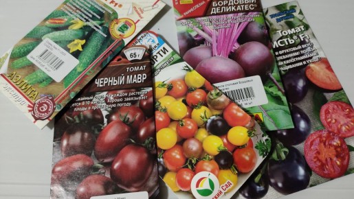 ��� ������� ������������ ������ � 2026 ����: 3 ������ ������� �� ����� - ������� ��� �� �������