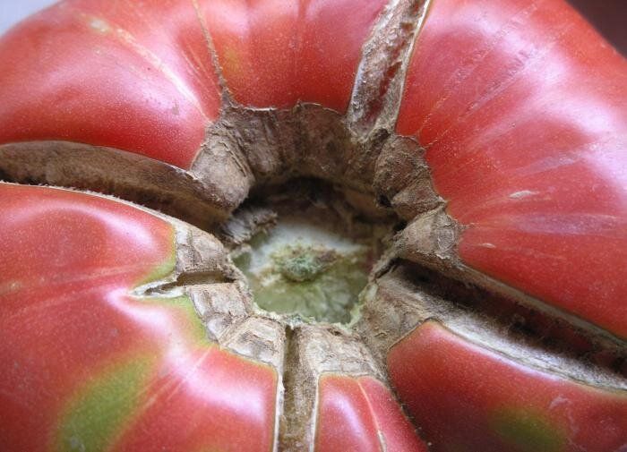 ������ ��������������� �������� � ��� ����� ��������