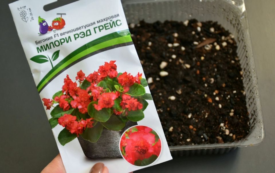 ��� ��������� ������� �� �����: ������ ������� �����������