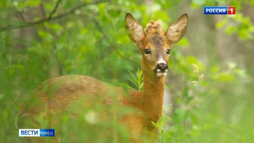 ������ ���������� ��������� ������ ������� ����� � ���������� "������������ ������"