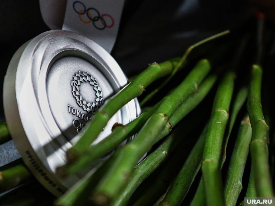 ������ ����� ��������� � ������������� �����: ���������� � IOC