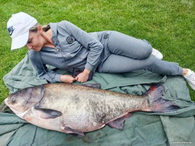 ����������� � ������ �������: �����?3 ��� � ������, ������� � ������� �������