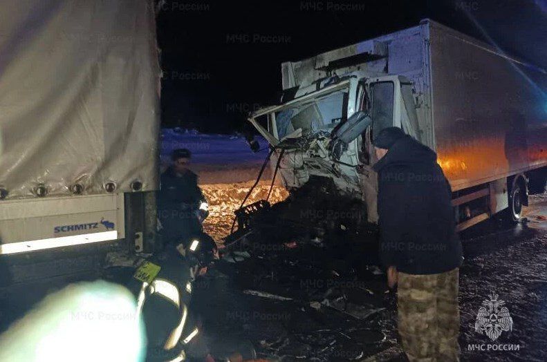 На трассе в Орловской области столкнулись две фуры