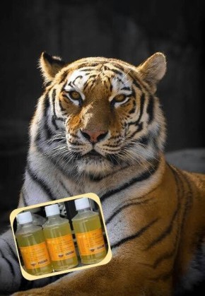 �������� ���� ��� ����� �������� ��������: � �������� ������� �������� ���������