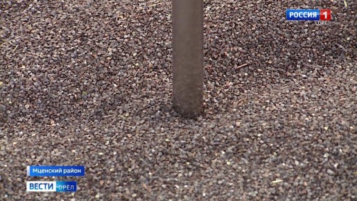 ����� ���� ������� ����������� ��������� �����