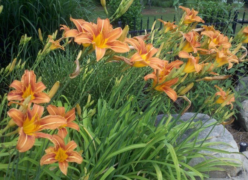 ��� ����������� ��������� � ����: ������� ����� �� ��������������