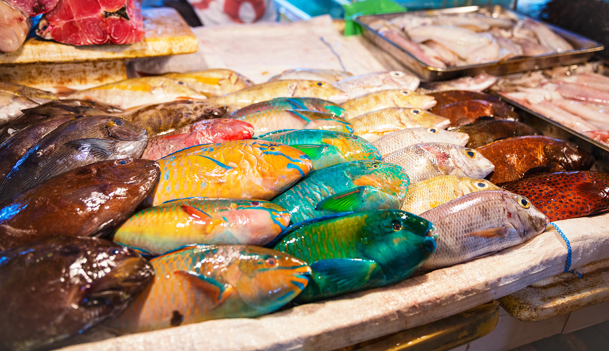 Как выбрать свежую рыбу: советы, которые помогут не ошибиться