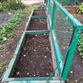 ������������ ���� ��� �������� ��������� ������ ������