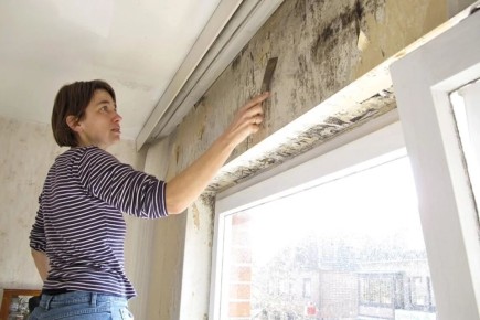 Опасная плесень в доме: как защитить здоровье