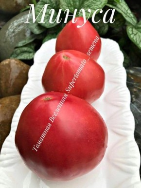 ����� ������: ������� ����������� � ������������ ��������