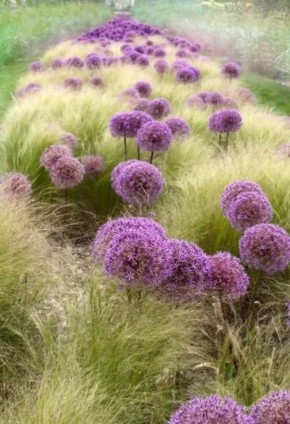 �������� ������ ����: ������ ���������� �������� ��� ��������� ��������