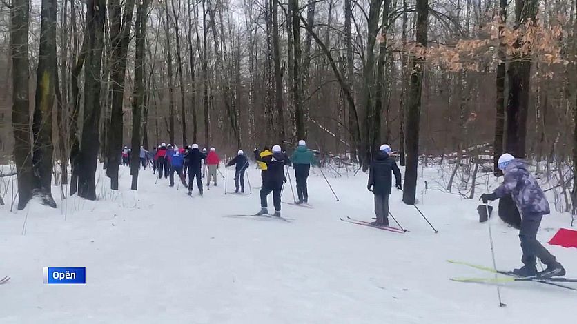 В Орле прошла "Лыжня России" 2026