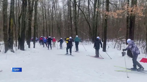 � ���� ������ "����� ������" 2026