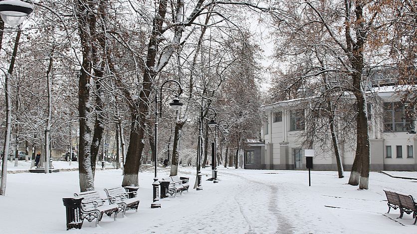 Орловцев попросили воздержаться от прогулок в парках города из-за снегопада