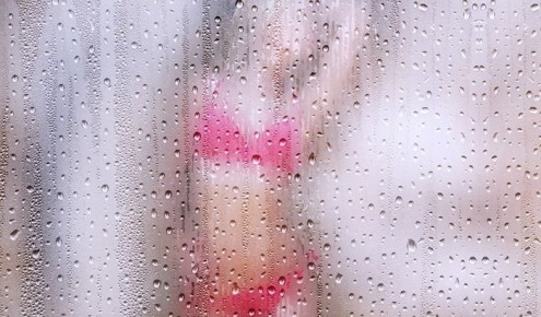 ����� �����������: ������� ���������� ��������� ���������� ��� ��������� �������