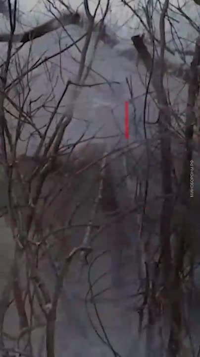 Главные новости за день:. На переговорах по Украине в Женеве круг вопросов будет шире, чем в Абу-Даби, сообщил Песков Брянская область пережила самую крупную атаку дронов, заявил Богомаз ВС РФ освободили Покровку в Сумской...