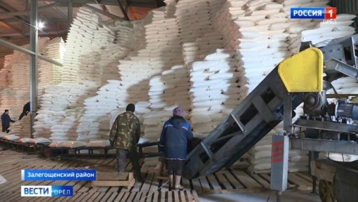 Орловским сахаром обеспечивается более 17 миллионов россиян