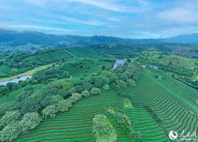 ��� � �������: ���� � ���������� � �������� ������