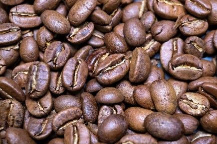 Оживляем фикус и фиалки: садоводы оценят подкормку на кофейном жмыхе