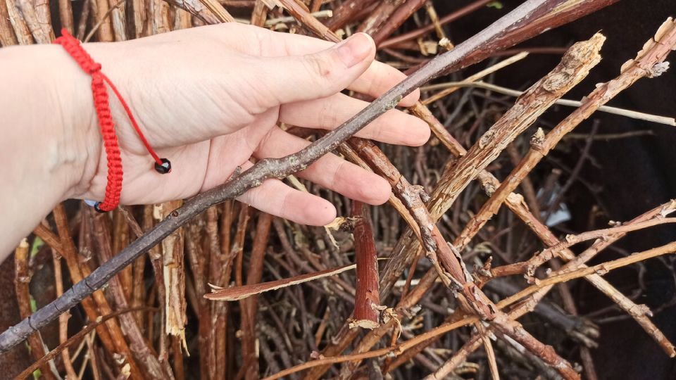 ���������� �� ������ ����: ��� ������� ����� ���������� ���������