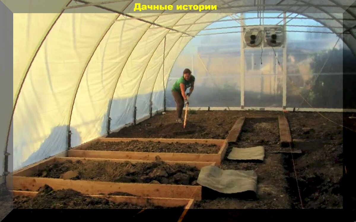 Лучшие удобрения для теплиц: как защитить почву от утомления осенью