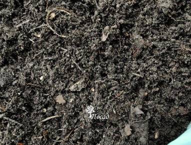 Почему ваш компост не созревает? Узнайте три скрытые ошибки