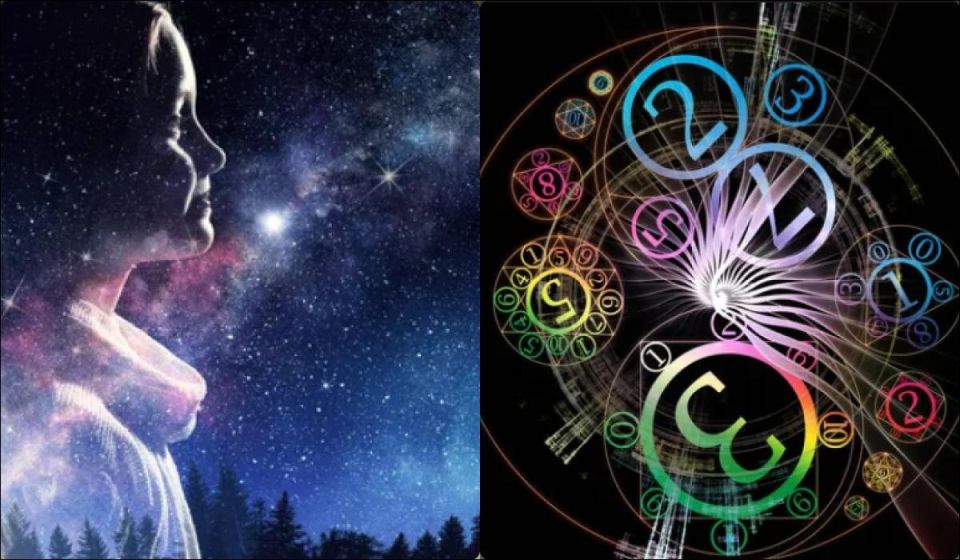 �����, ������� �� �������� ��������: ��� �� ����� � ��� ����������