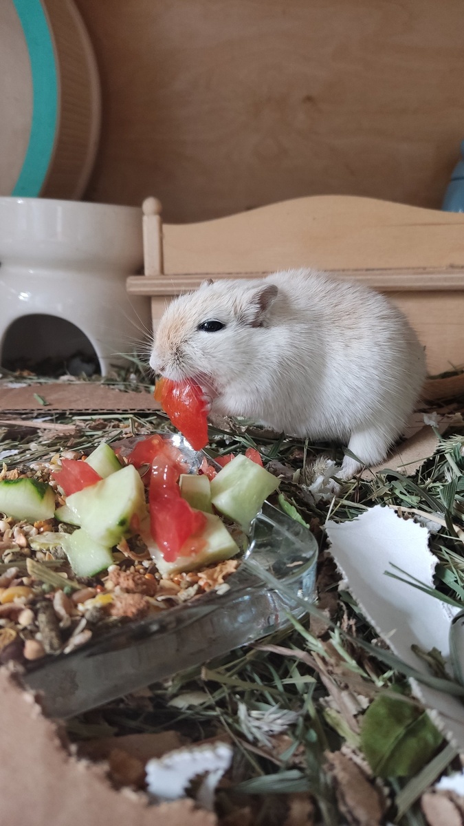 Как простая привычка превращает будни в праздник: секрет счастья