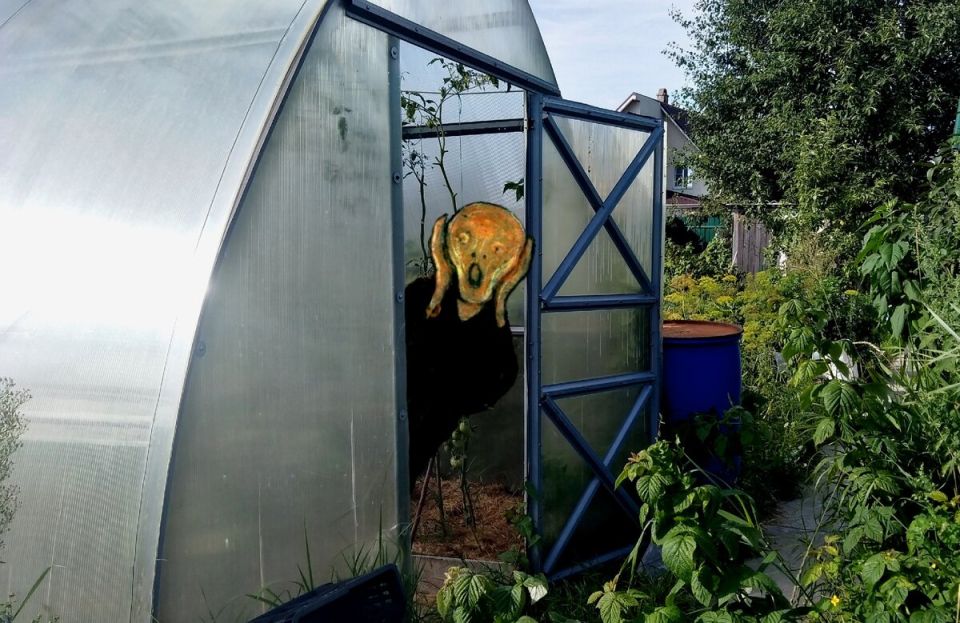 ���� � ������� �������� ���������. ����� ���� � �������, ����� ������ ������