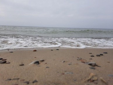 �� ������� ������� ����� �� ������� ��������