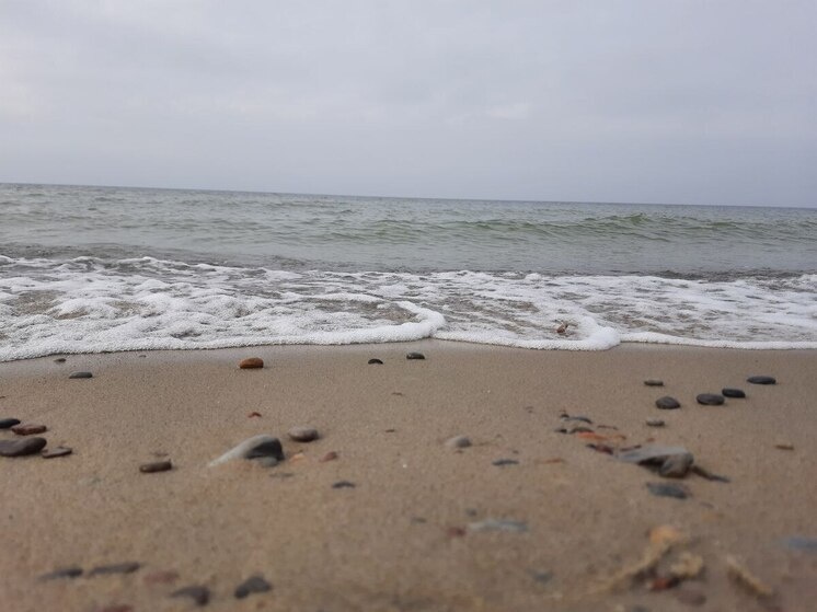 На Курилах поймали тунца за миллион долларов