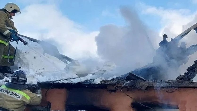 Сотрудники МЧС спасли домашних птиц из пожара в Орловской области