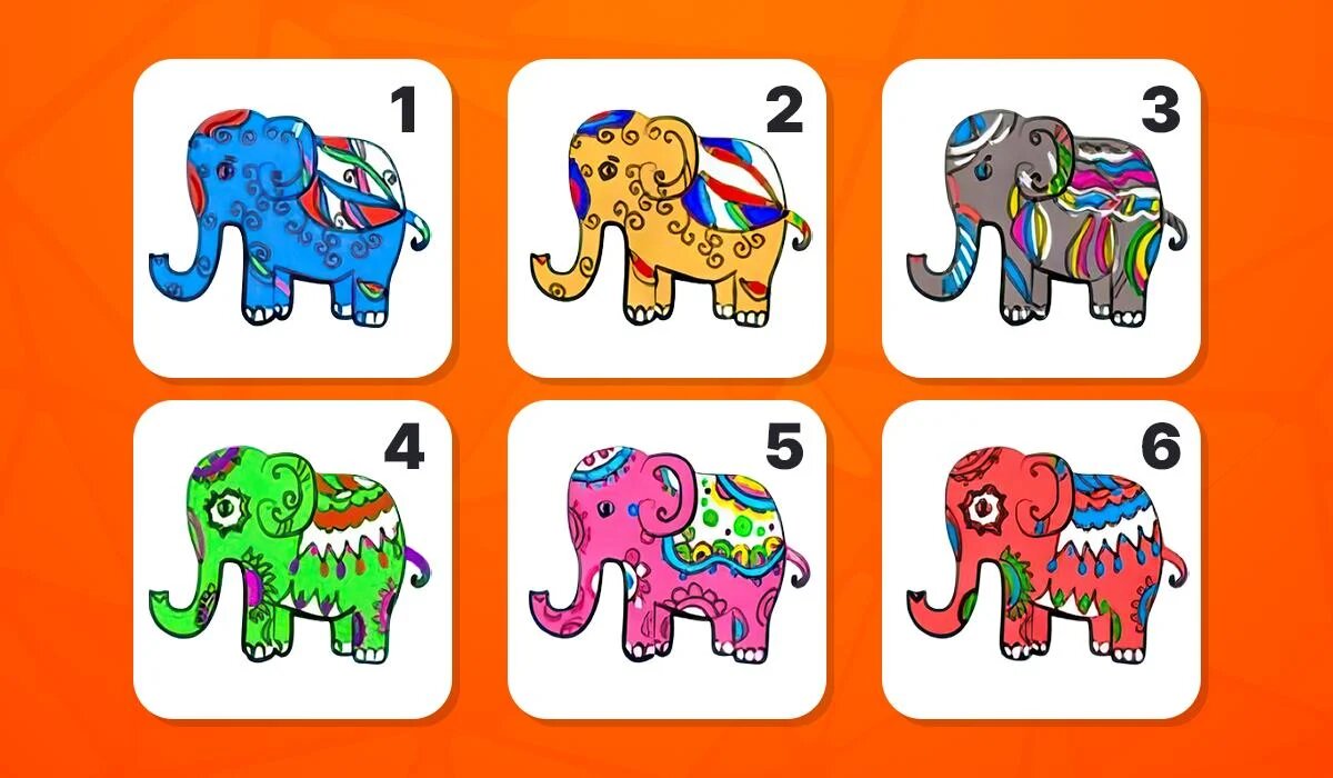 Как выбрать слона? Узнайте, что важно в вашей жизни