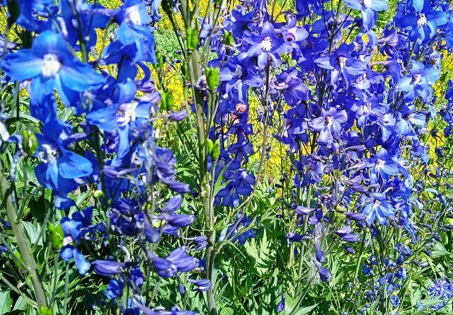 ������� �������������: ������ ��� ����� ��� ������� ����� ��������