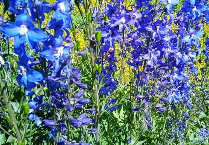 ������� �������������: ������ ��� ����� ��� ������� ����� ��������